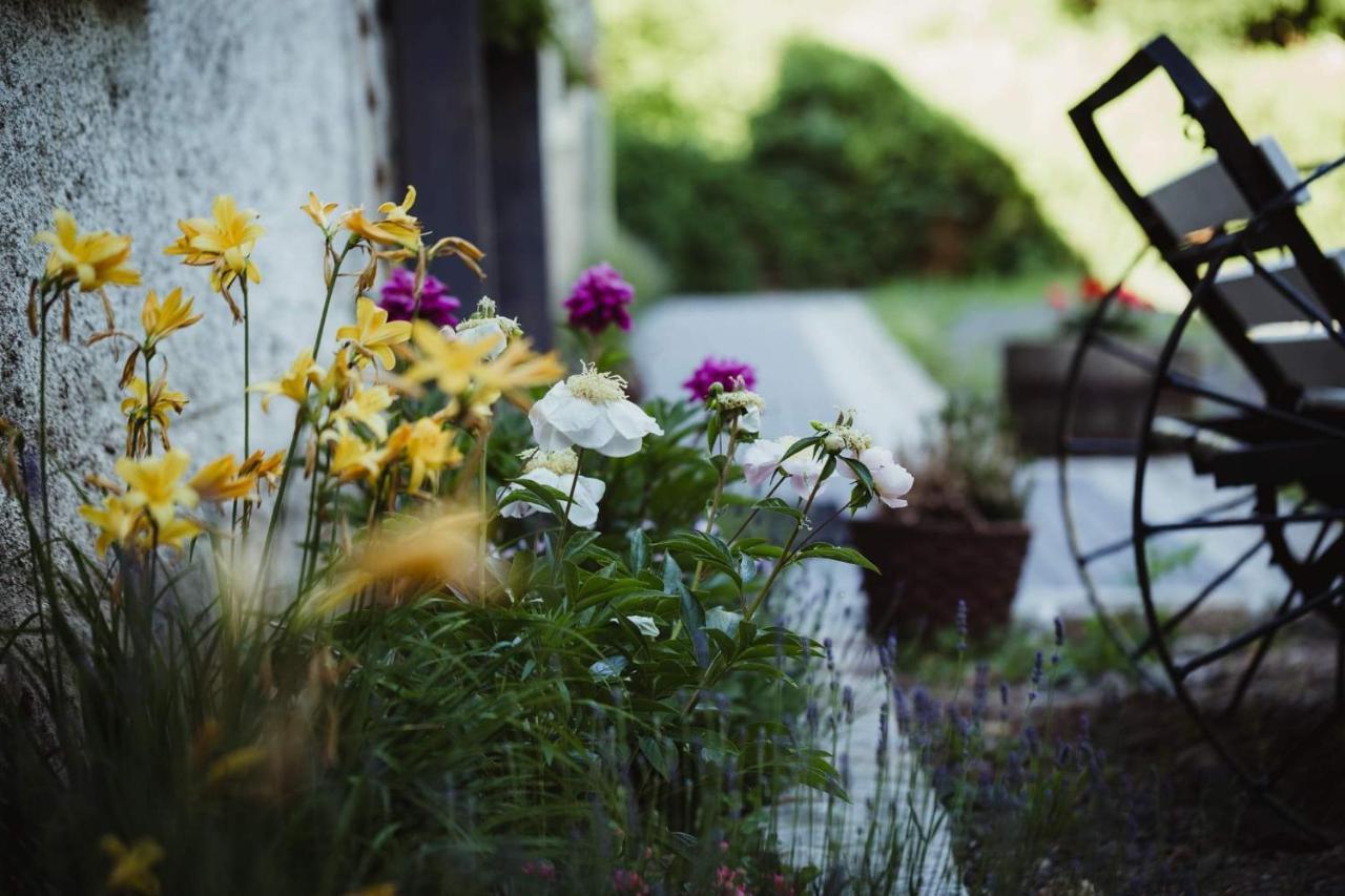 Lawendowa Stajnia Bed & Breakfast Lwowek Slaski Dış mekan fotoğraf